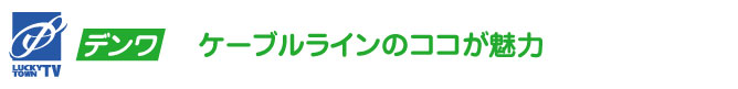 光デンワのココが魅力